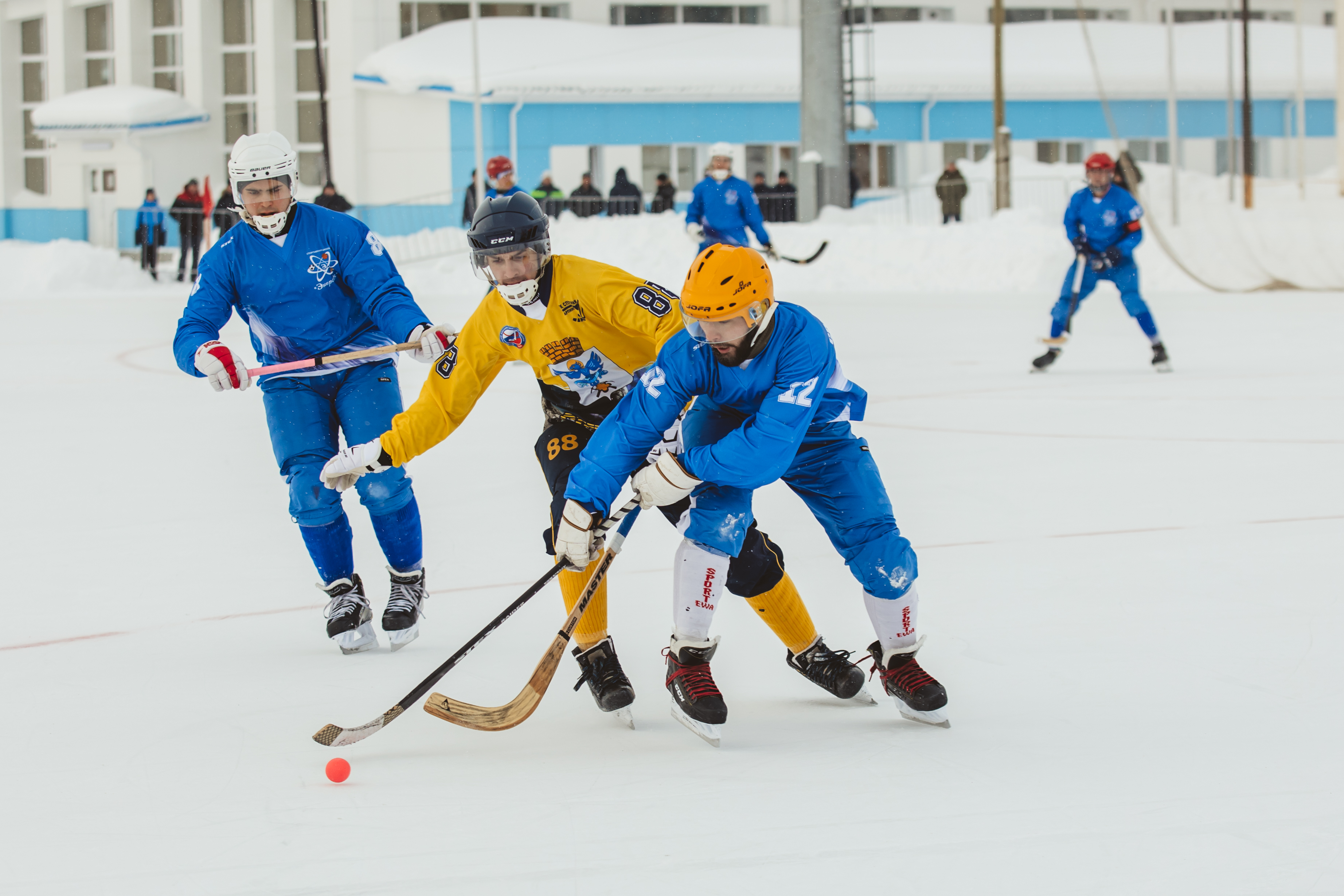 Чемпионат Свердловской области по хоккею с мячом среди мужских команд в сезоне 2021-2022