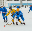 Чемпионат Свердловской области по хоккею с мячом среди мужских команд в сезоне 2021-2022