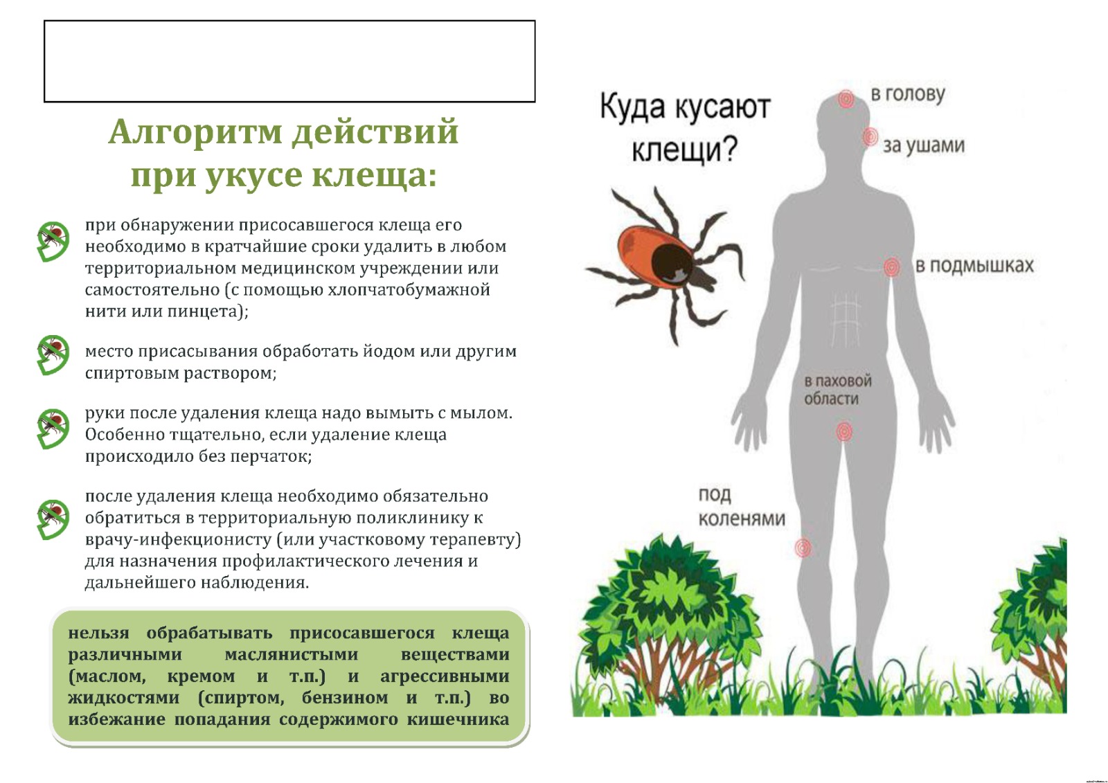 Дорогие друзья, сезон активности КЛЕЩЕЙ , а также туристических вылазок и походов в самом разгаре!