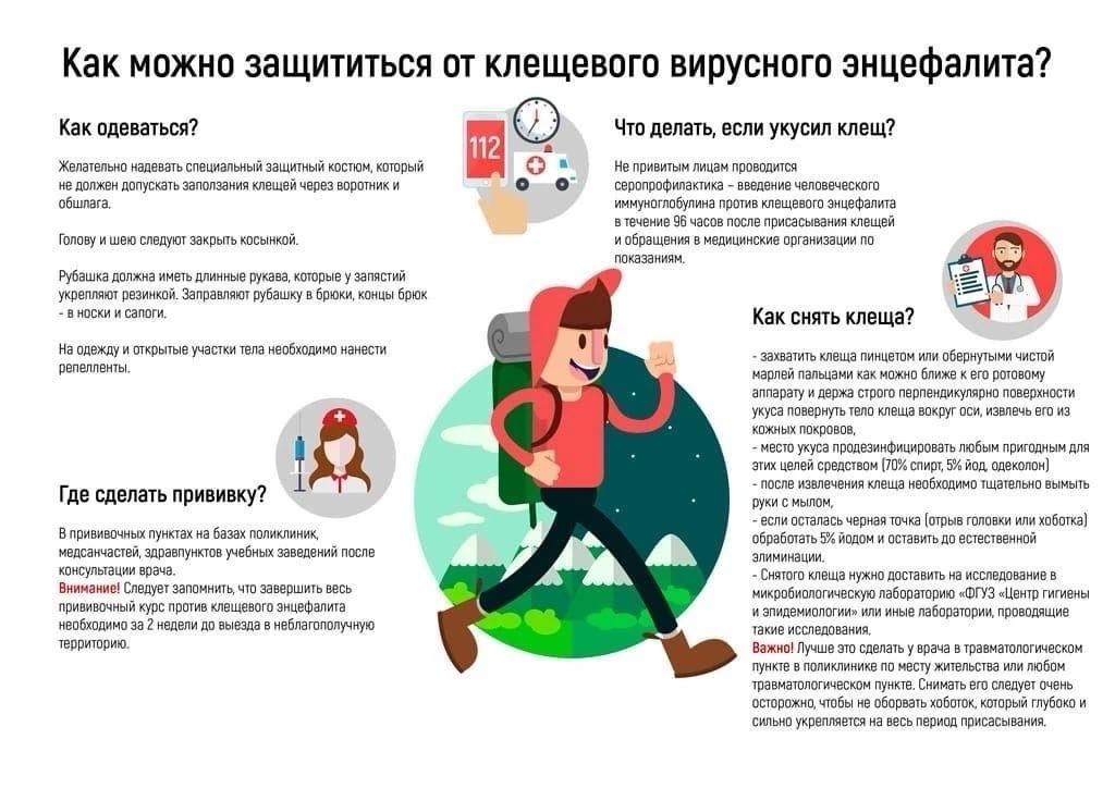 Клещи-переносчики вируса энцефалита!!!!!