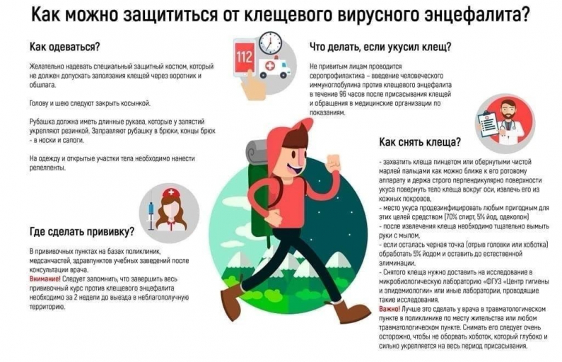 Клещи-переносчики вируса энцефалита!!!!!