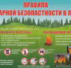 ПРОТИВОПОЖАРНЫЕ ПРАВИЛА ПОВЕДЕНИЯ В ЛЕСАХ.